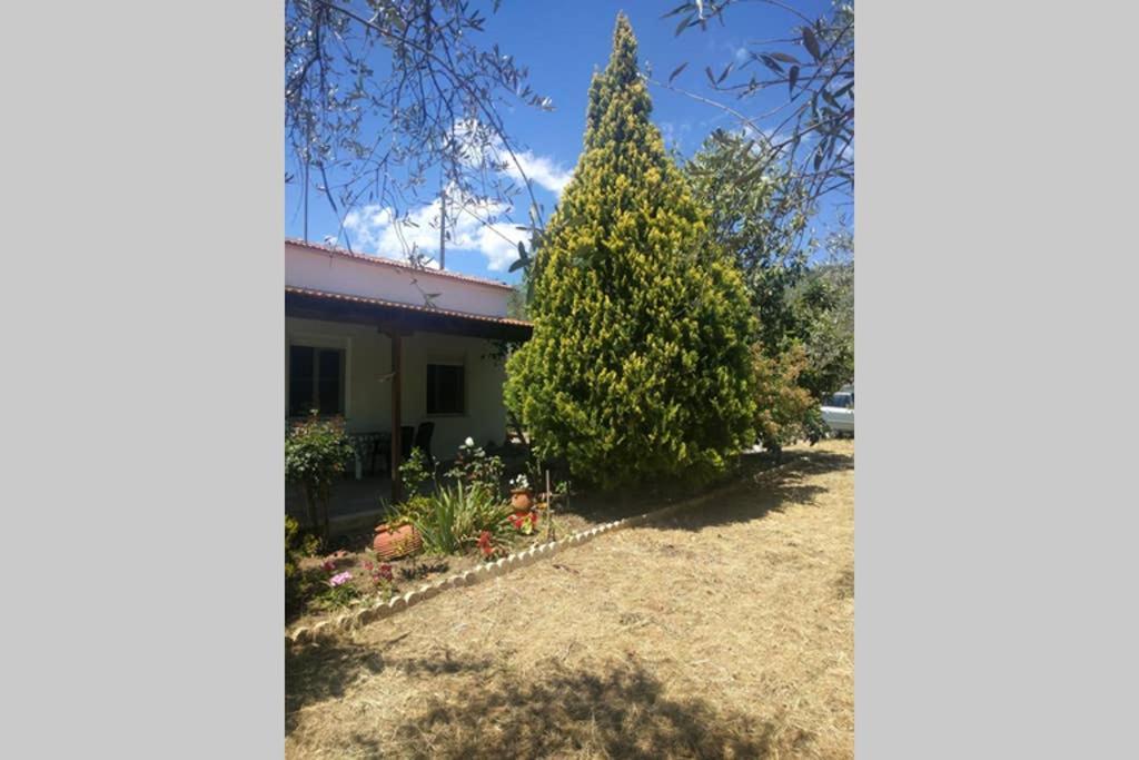 Irinis Cottage Kala Nera Exteriér fotografie