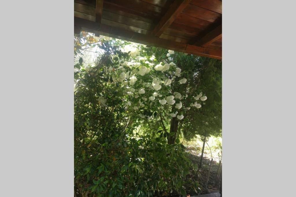 Irinis Cottage Kala Nera Exteriér fotografie